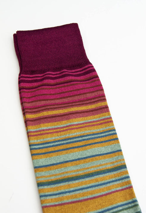 Effio Sok Warming stripes Biodiversity